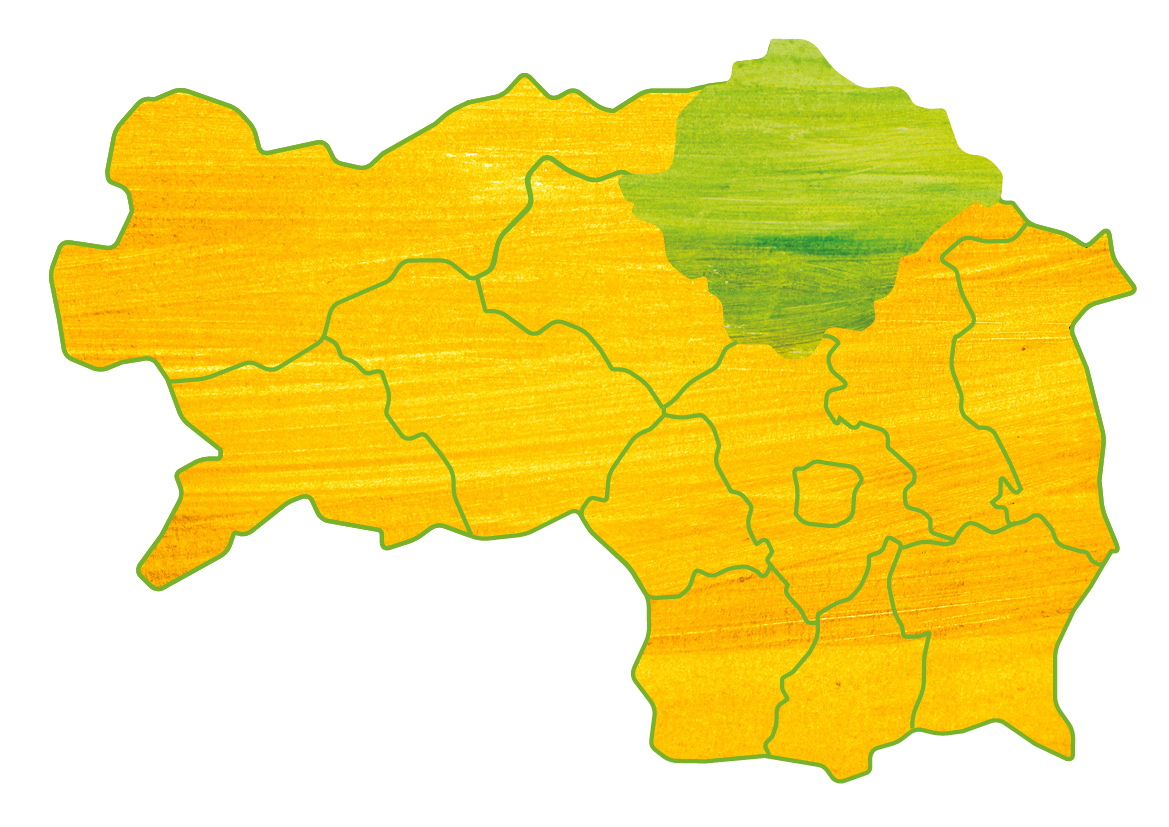 Landkarte Bezirk Bruck Mürzzuschlag