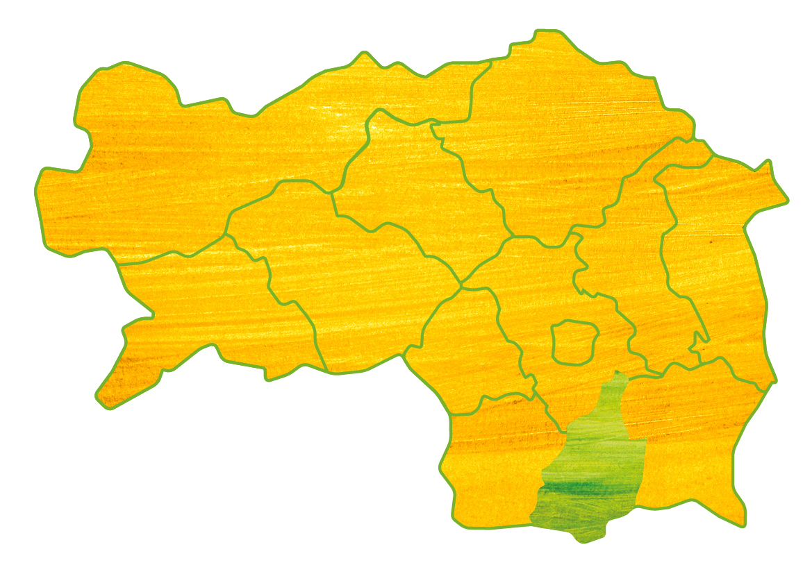 Landkarte Bezirk Leibnitz