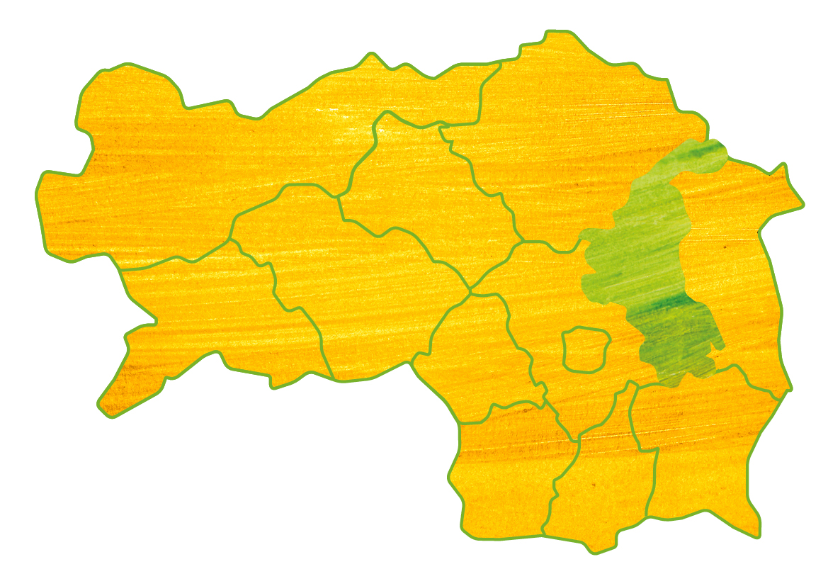 Landkarte Bezirk Weiz