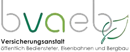 Logo BVAEB