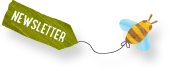 Anmeldung Newsletter